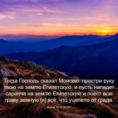 Picture 03 - Исход 10:12 RUSV - Тогда Господь сказал - Bible Verse Picture