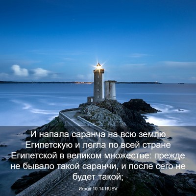 Picture 03 - Исход 10:14 RUSV - И напала саранча на всю - Bible Verse Picture
