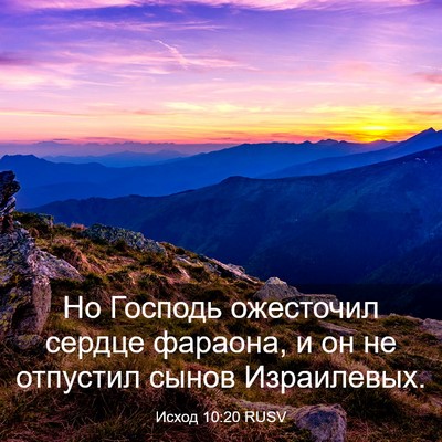 Picture 03 - Исход 10:20 RUSV - Но Господь ожесточил - Bible Verse Picture
