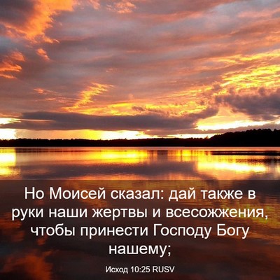 Picture 03 - Исход 10:25 RUSV - Но Моисей сказал: дай также - Bible Verse Picture