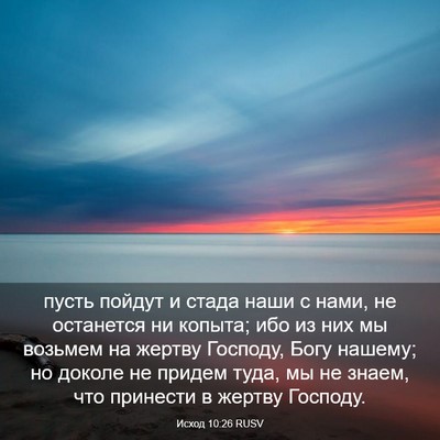 Picture 03 - Исход 10:26 RUSV - пусть пойдут и стада наши с - Bible Verse Picture