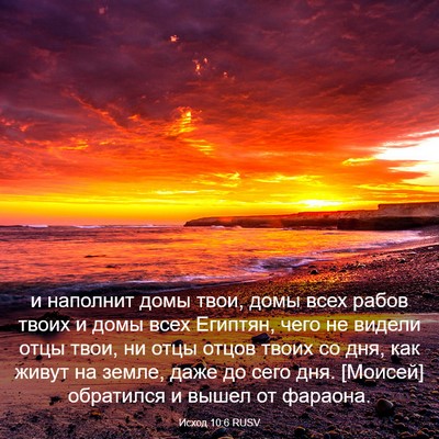 Picture 03 - Исход 10:6 RUSV - и наполнит домы твои, домы - Bible Verse Picture