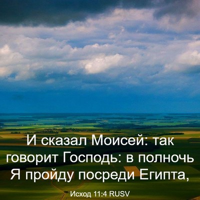 Picture 03 - Исход 11:4 RUSV - И сказал Моисей: так - Bible Verse Picture