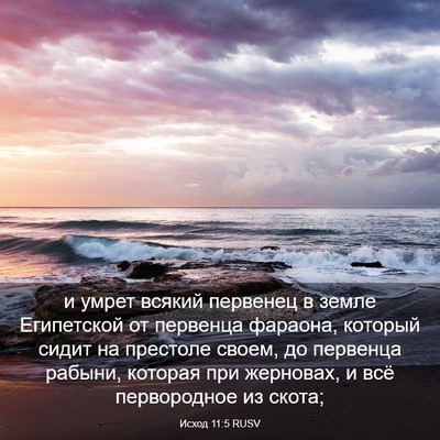 Picture 03 - Исход 11:5 RUSV - и умрет всякий первенец в - Bible Verse Picture