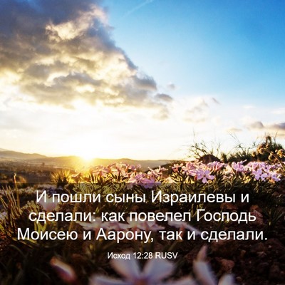 Picture 03 - Исход 12:28 RUSV - И пошли сыны Израилевы и - Bible Verse Picture