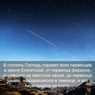 Picture 03 - Исход 12:29 RUSV - В полночь Господь поразил - Bible Verse Picture