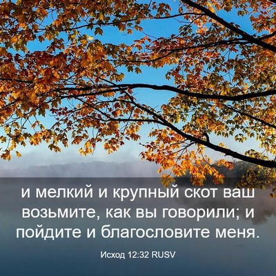 Picture 03 - Исход 12:32 RUSV - и мелкий и крупный скот ваш - Bible Verse Picture
