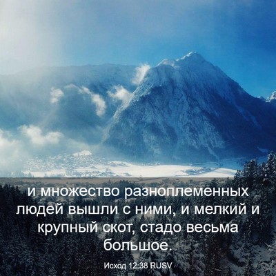 Picture 03 - Исход 12:38 RUSV - и множество - Bible Verse Picture