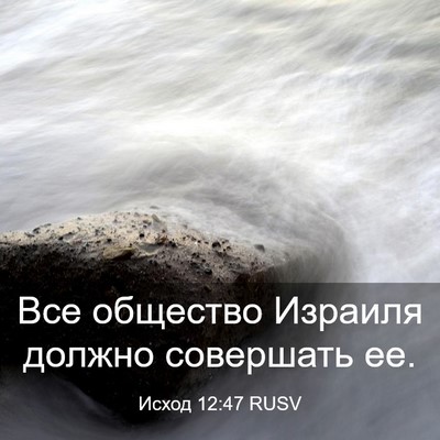 Picture 03 - Исход 12:47 RUSV - Все общество Израиля - Bible Verse Picture