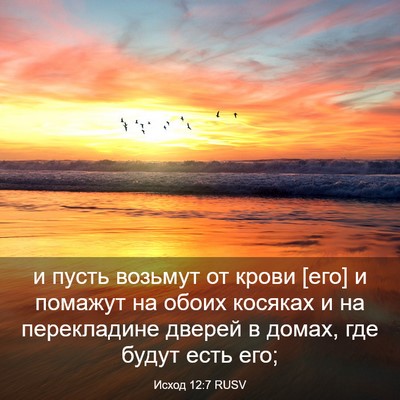 Picture 03 - Исход 12:7 RUSV - и пусть возьмут от крови - Bible Verse Picture