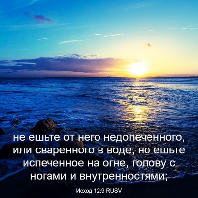 Picture 03 - Исход 12:9 RUSV - не ешьте от него - Bible Verse Picture