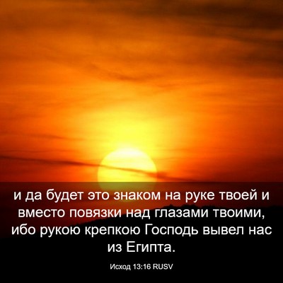 Picture 03 - Исход 13:16 RUSV - и да будет это знаком на - Bible Verse Picture