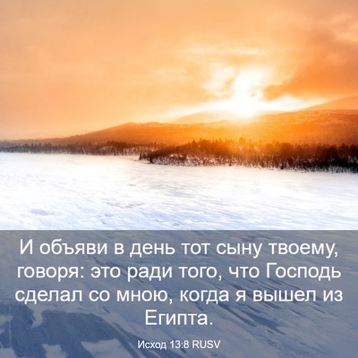 Picture 03 - Исход 13:8 RUSV - И объяви в день тот сыну - Bible Verse Picture