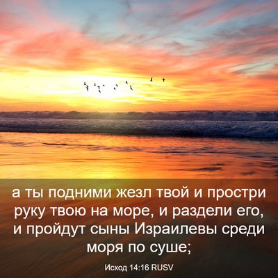 Picture 03 - Исход 14:16 RUSV - а ты подними жезл твой и - Bible Verse Picture