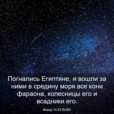 Picture 03 - Исход 14:23 RUSV - Погнались Египтяне, и - Bible Verse Picture