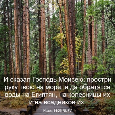 Picture 03 - Исход 14:26 RUSV - И сказал Господь Моисею: - Bible Verse Picture