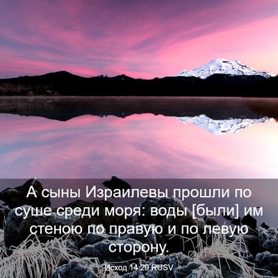 Picture 03 - Исход 14:29 RUSV - А сыны Израилевы прошли по - Bible Verse Picture