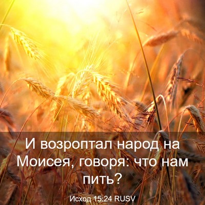 Picture 03 - Исход 15:24 RUSV - И возроптал народ на - Bible Verse Picture