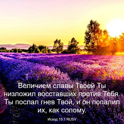 Picture 03 - Исход 15:7 RUSV - Величием славы Твоей Ты - Bible Verse Picture