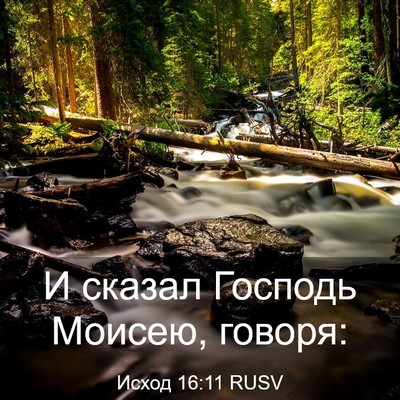 Picture 03 - Исход 16:11 RUSV - И сказал Господь Моисею, - Bible Verse Picture