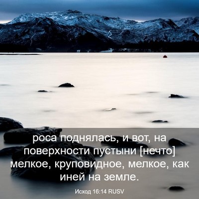 Picture 03 - Исход 16:14 RUSV - роса поднялась, и вот, на - Bible Verse Picture
