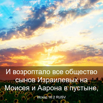 Picture 03 - Исход 16:2 RUSV - И возроптало все общество - Bible Verse Picture