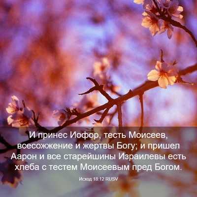 Picture 03 - Исход 18:12 RUSV - И принес Иофор, тесть - Bible Verse Picture