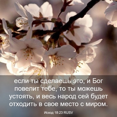 Picture 03 - Исход 18:23 RUSV - если ты сделаешь это, и Бог - Bible Verse Picture