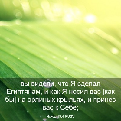 Picture 03 - Исход 19:4 RUSV - вы видели, что Я сделал - Bible Verse Picture