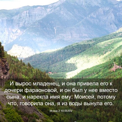 Picture 03 - Исход 2:10 RUSV - И вырос младенец, и она - Bible Verse Picture
