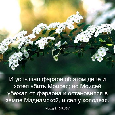 Picture 03 - Исход 2:15 RUSV - И услышал фараон об этом - Bible Verse Picture