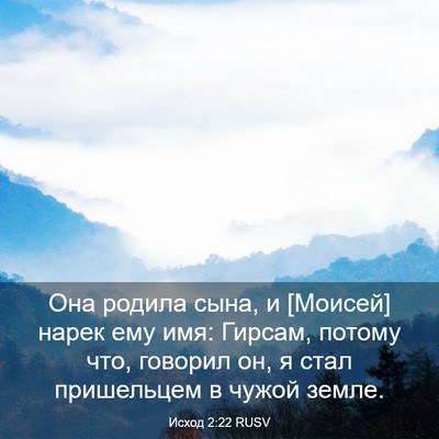 Picture 03 - Исход 2:22 RUSV - Она родила сына, и [Моисей] - Bible Verse Picture