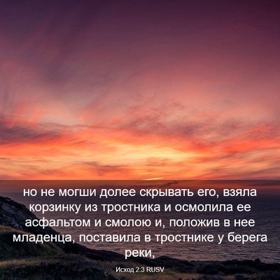 Picture 03 - Исход 2:3 RUSV - но не могши долее скрывать - Bible Verse Picture