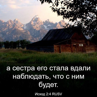 Picture 03 - Исход 2:4 RUSV - а сестра его стала вдали - Bible Verse Picture