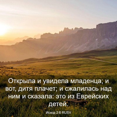 Picture 03 - Исход 2:6 RUSV - Открыла и увидела - Bible Verse Picture