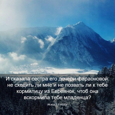 Picture 03 - Исход 2:7 RUSV - И сказала сестра его - Bible Verse Picture