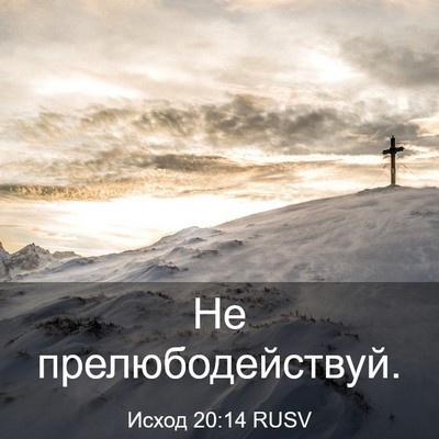 Picture 03 - Исход 20:14 RUSV - Не - Bible Verse Picture