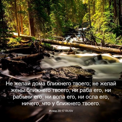 Picture 03 - Исход 20:17 RUSV - Не желай дома ближнего - Bible Verse Picture