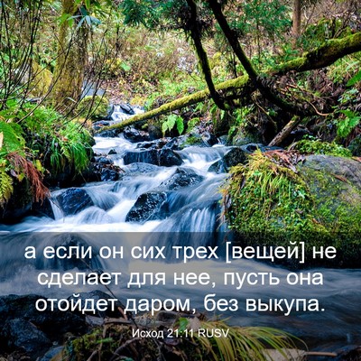 Picture 03 - Исход 21:11 RUSV - а если он сих трех [вещей] - Bible Verse Picture