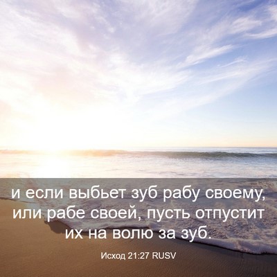 Picture 03 - Исход 21:27 RUSV - и если выбьет зуб рабу - Bible Verse Picture