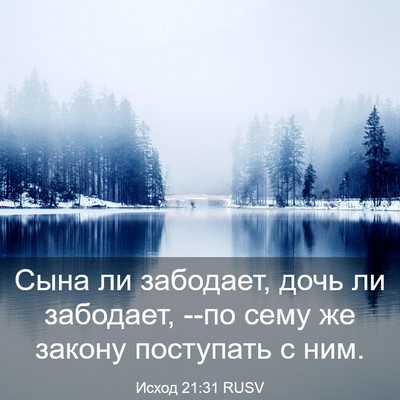 Picture 03 - Исход 21:31 RUSV - Сына ли забодает, дочь ли - Bible Verse Picture