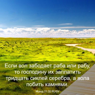Picture 03 - Исход 21:32 RUSV - Если вол забодает раба или - Bible Verse Picture