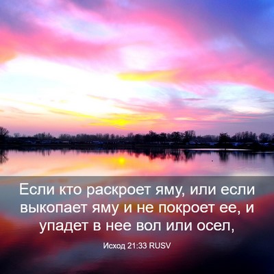 Picture 03 - Исход 21:33 RUSV - Если кто раскроет яму, или - Bible Verse Picture