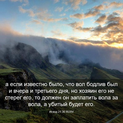 Picture 03 - Исход 21:36 RUSV - а если известно было, что - Bible Verse Picture