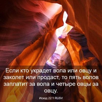 Picture 03 - Исход 22:1 RUSV - Если кто украдет вола или - Bible Verse Picture