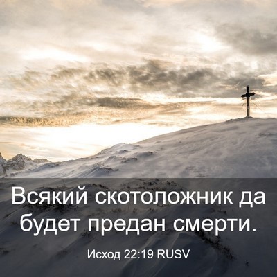 Picture 03 - Исход 22:19 RUSV - Всякий скотоложник да - Bible Verse Picture