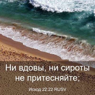 Picture 03 - Исход 22:22 RUSV - Ни вдовы, ни сироты не - Bible Verse Picture