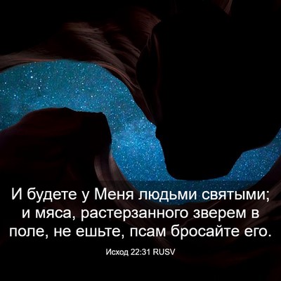 Picture 03 - Исход 22:31 RUSV - И будете у Меня людьми - Bible Verse Picture
