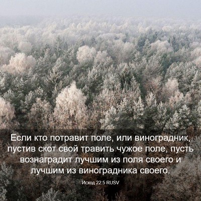 Picture 03 - Исход 22:5 RUSV - Если кто потравит поле, или - Bible Verse Picture