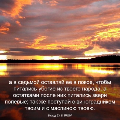 Picture 03 - Исход 23:11 RUSV - а в седьмой оставляй ее в - Bible Verse Picture